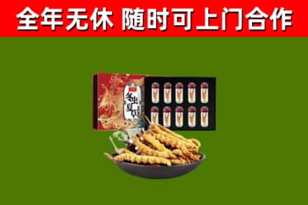 临川区回收冬虫夏草价格